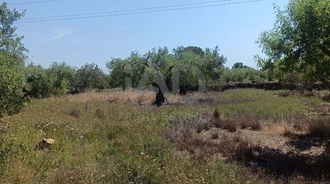 Foto 2 von Residential zum Verkauf in Les Tres Cales, L'Ametlla de Mar