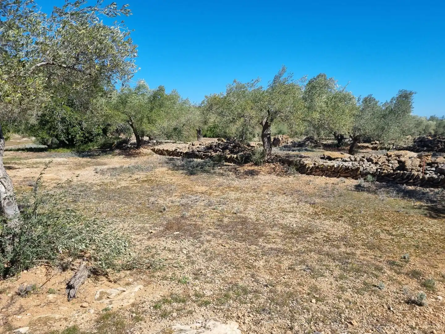 Terreno rustico in vendita a El Perelló, imagen 12