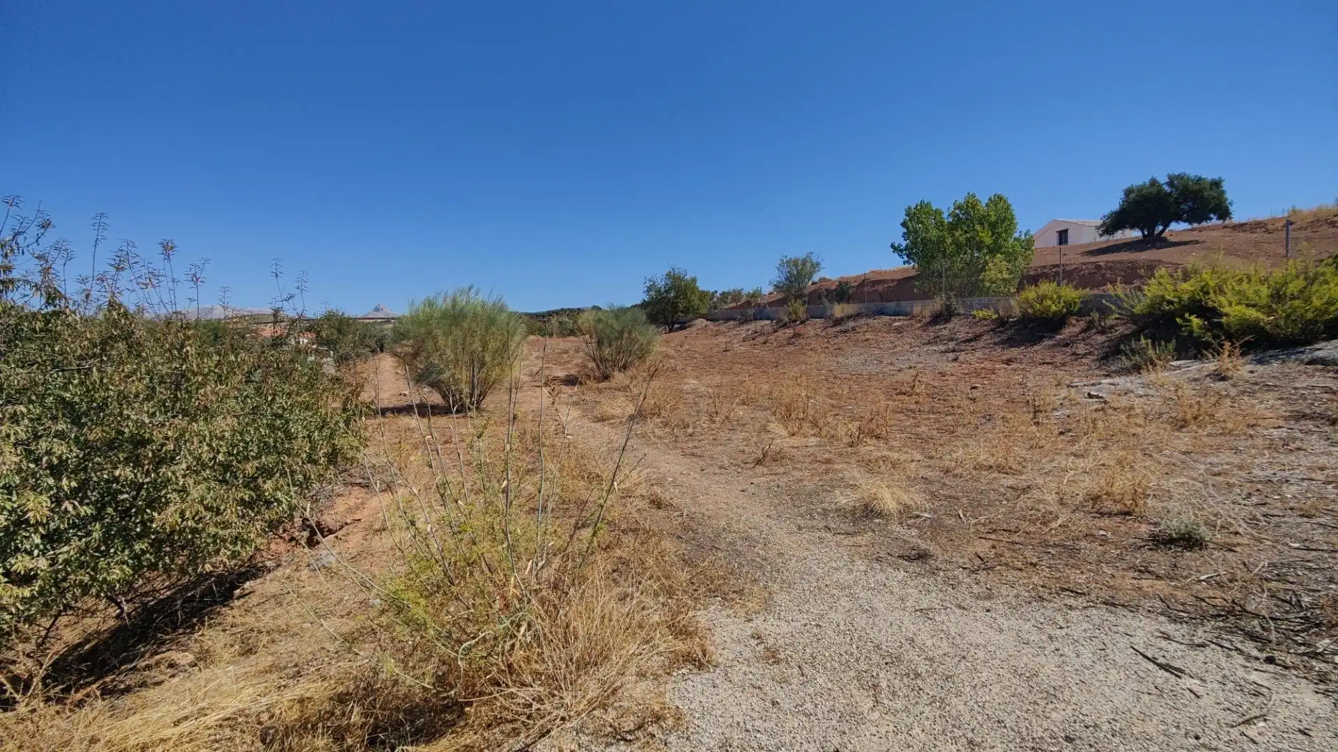 Terrenos y solares en venta en Centro de Albolote, imagen 16