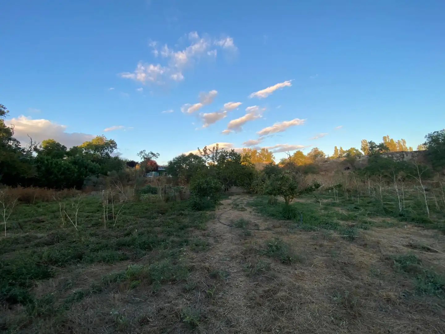 Finca rústica en venda en Valoria la Buena amb Jardí privat i Piscina