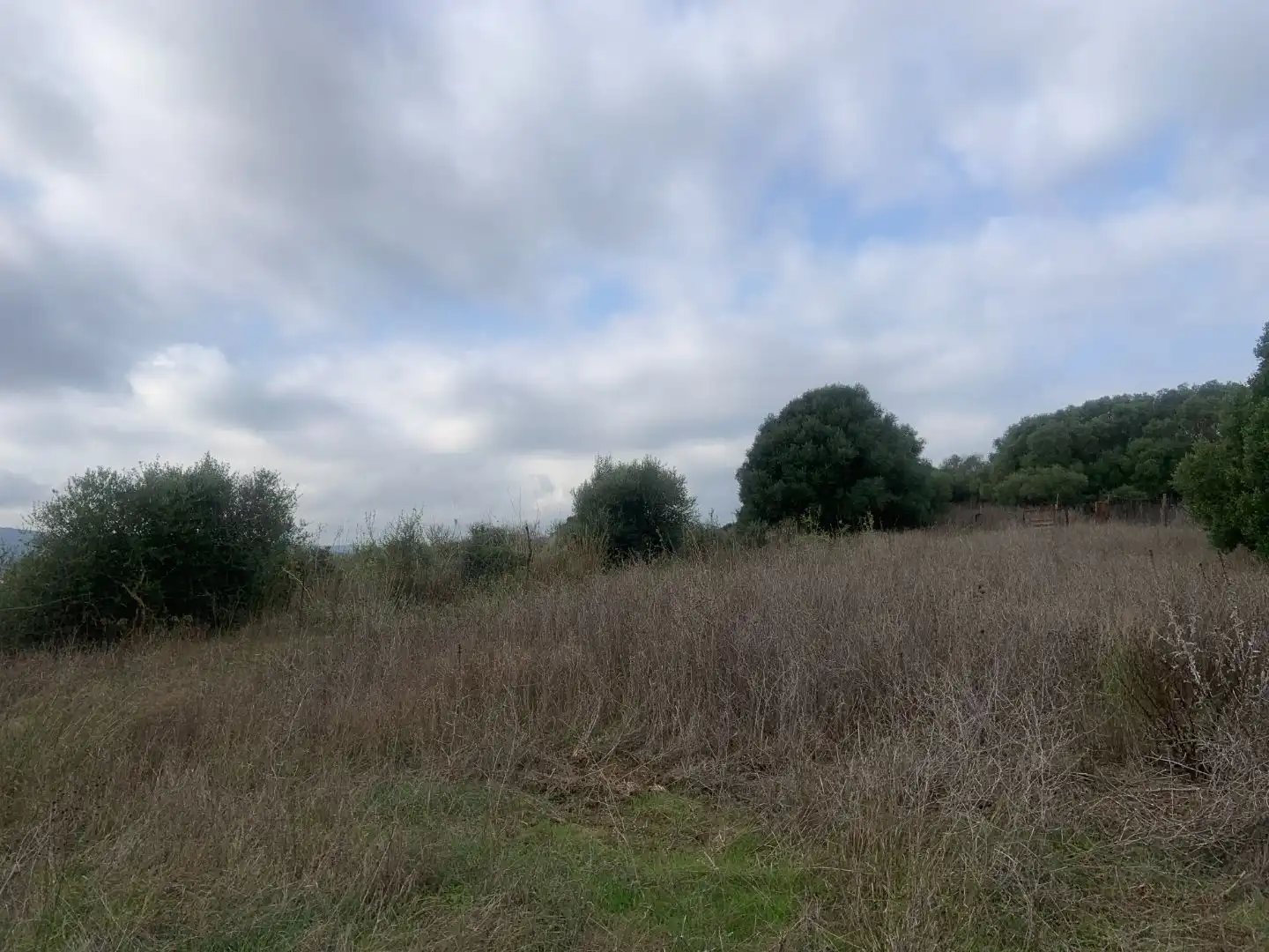 Terreno en venta en Casares