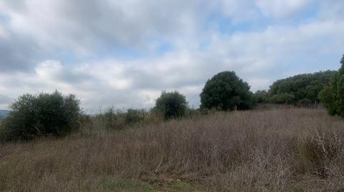 Foto 2 de Terreno en venta en Calle Gaucin, 1, Casares pueblo, Casares