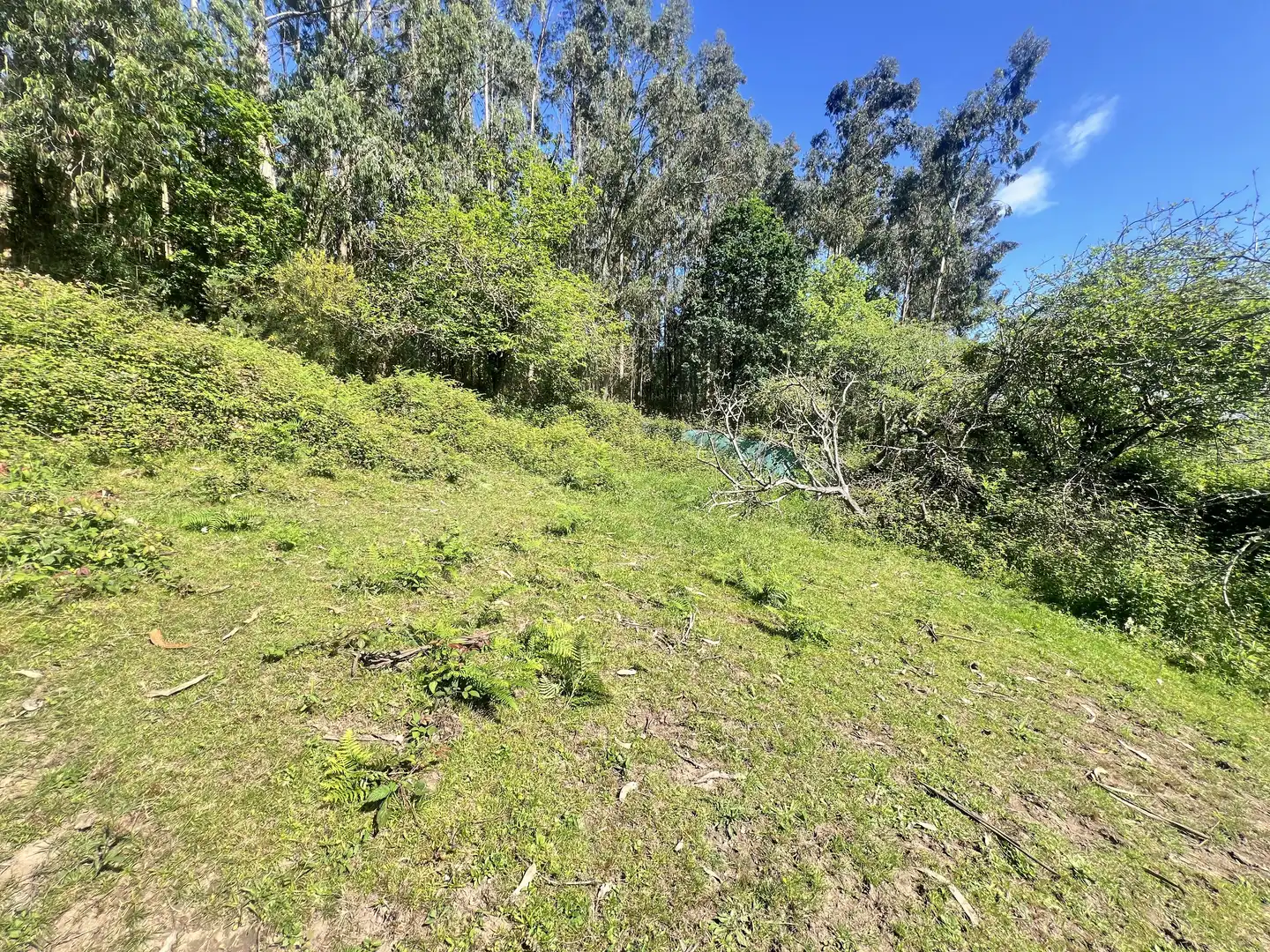 Detached homes for sale in Castrillón
