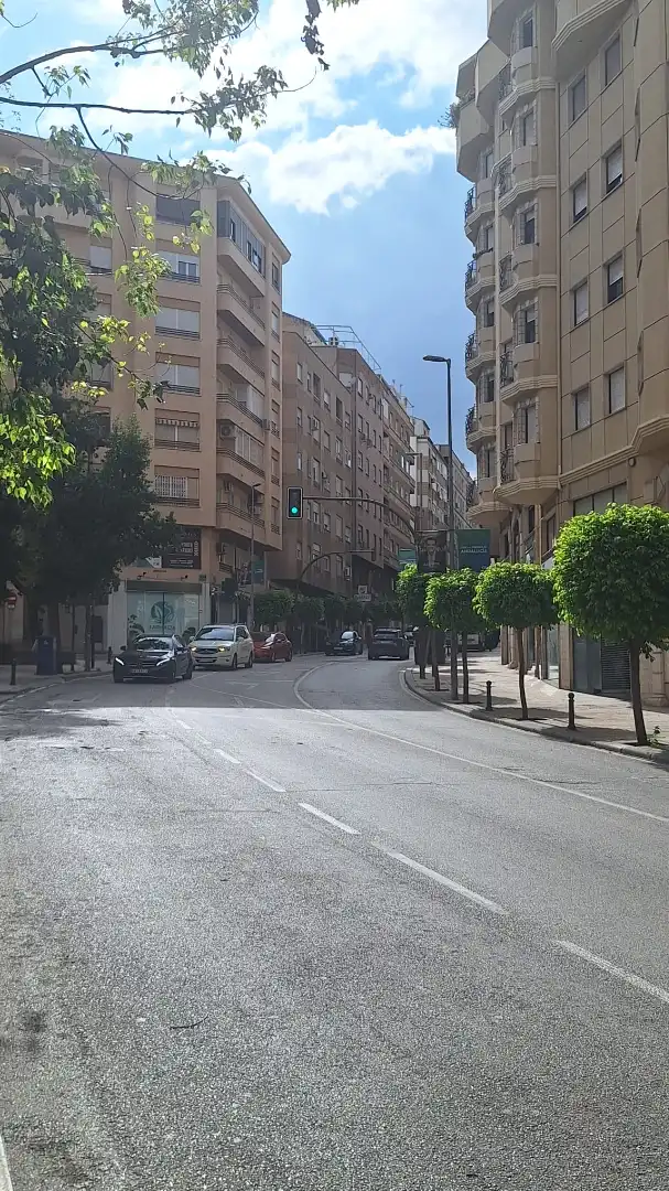 Pis amb terrassa en venda a Avenida Granada, imagen 21
