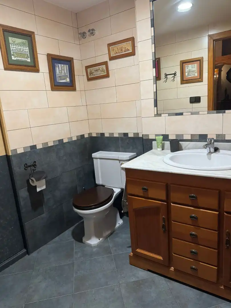 Residenziale in vendita a Pla - Carolinas, imagen 28