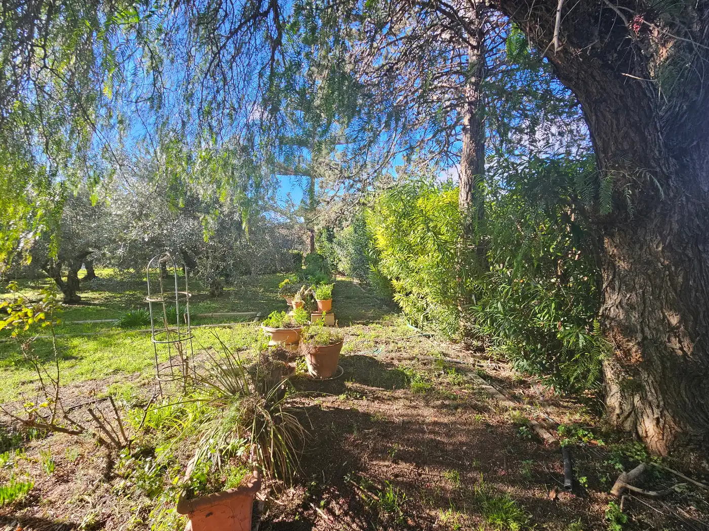 Garten von Country house zum Verkauf in Reus mit Klimaanlage, Privatgarten und Terrasse