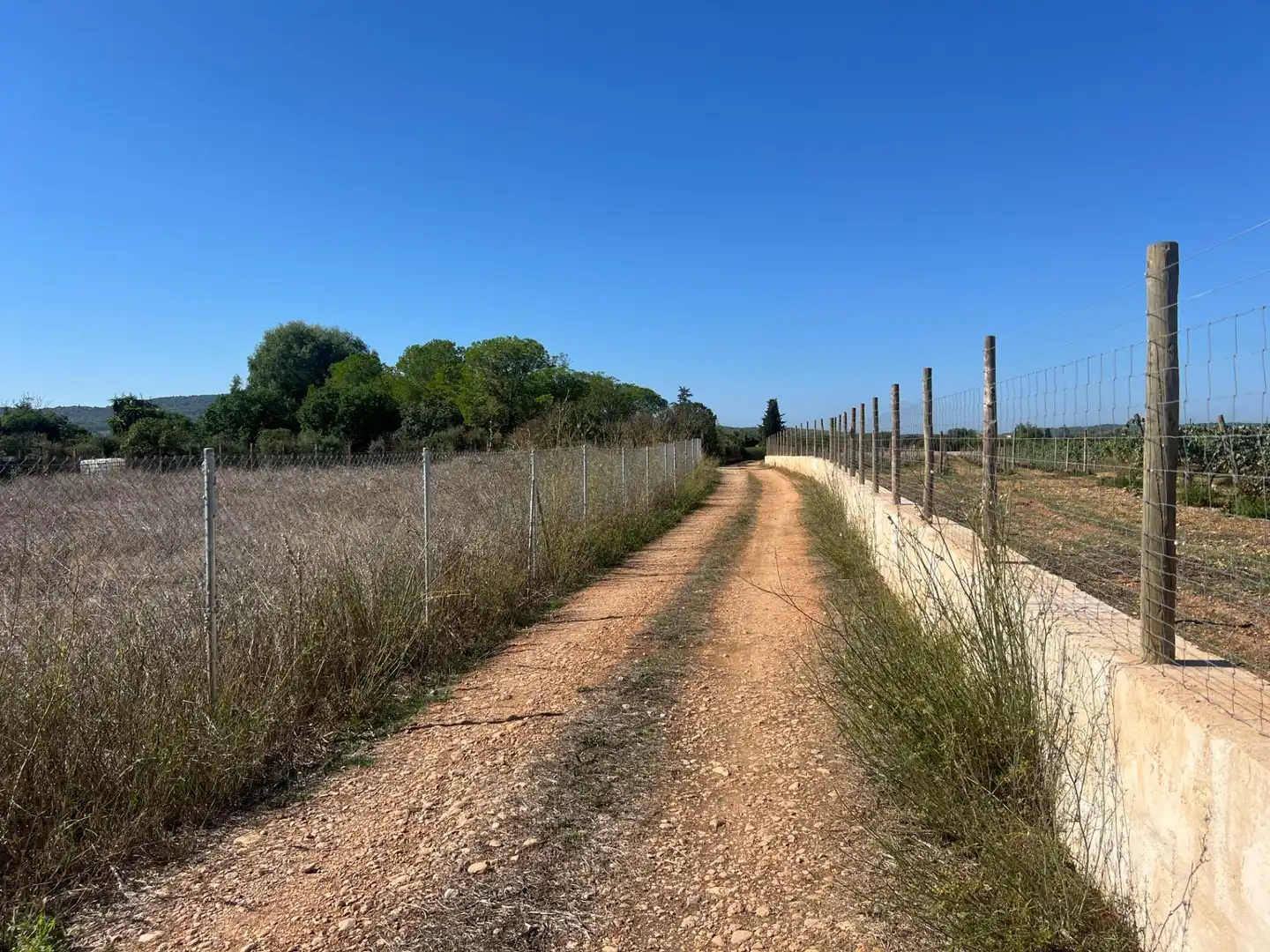 Terreno en venta en Santa Eugènia