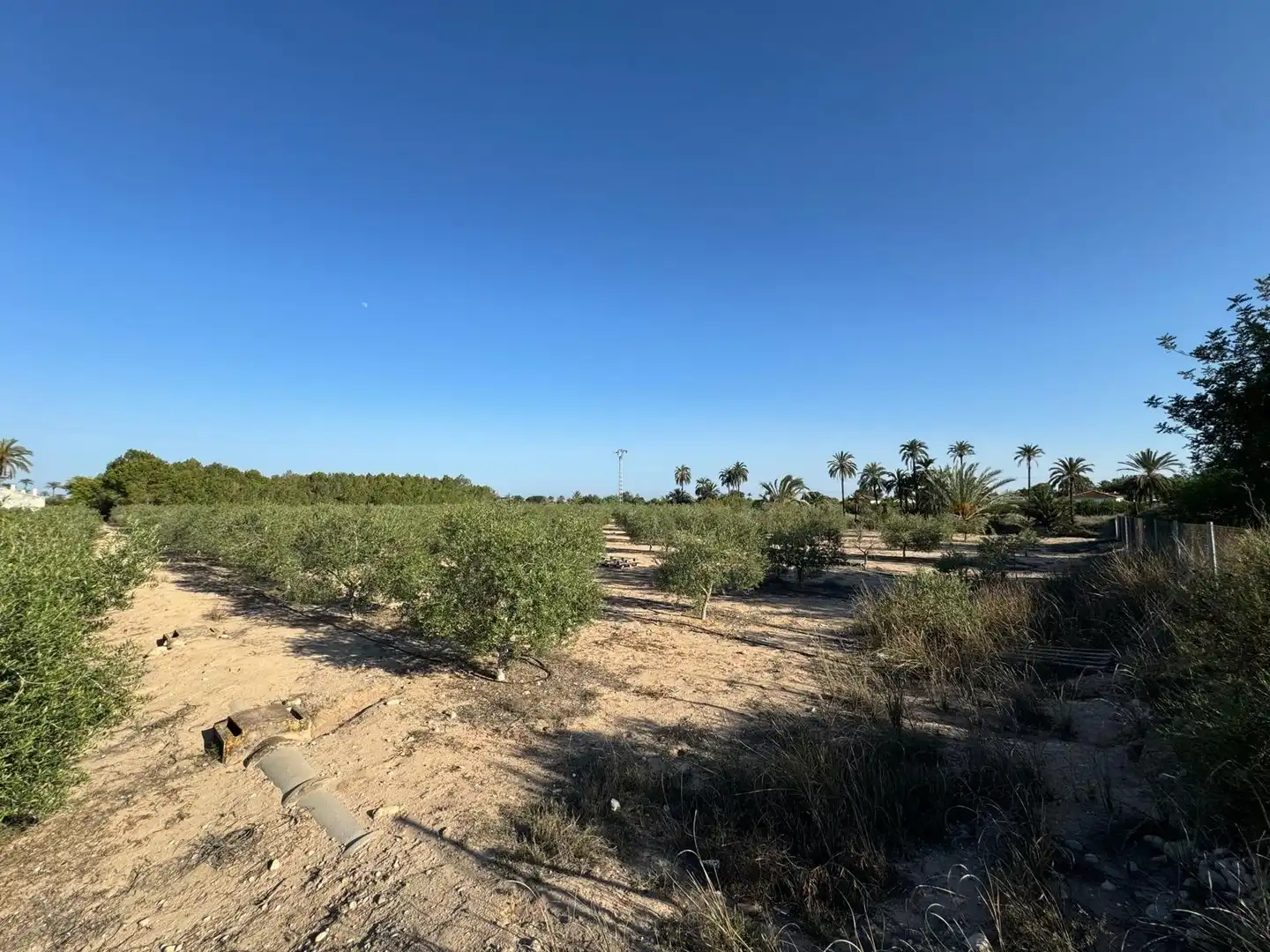 Villa à vendre à Partida Polígono 62 Parcela 80 DAIMES. ELCHE/ELX (ALICANT 62, imagen 39