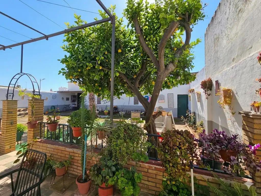 Jardín de Casa adosada en venta en Umbrete