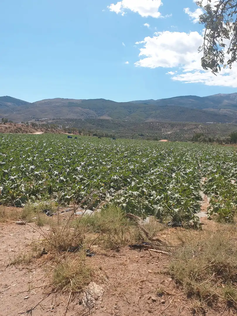 Terrenys i solars en venda a Abla, imagen 2