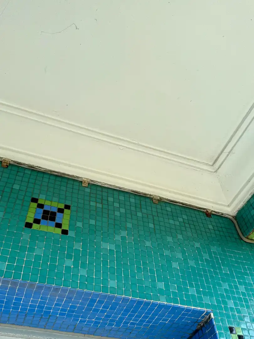Piscina de Casa o xalet en venda en A Coruña Capital  amb Traster
