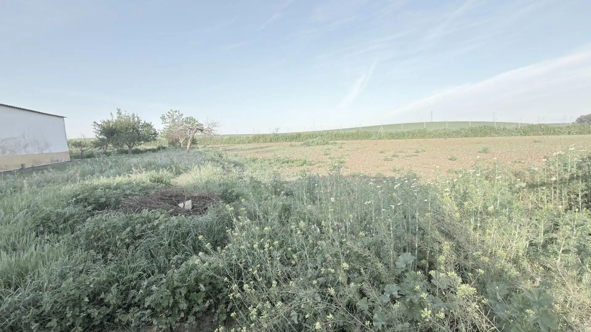 Finca rústica en venda en Huelva amb Aire condicionat, Terrassa i Piscina