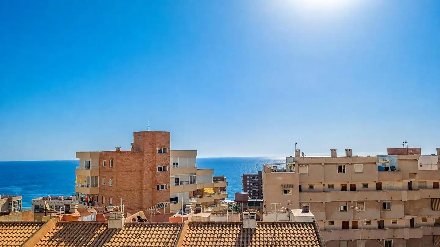 Exterior view of Detached homes for sale in Elche / Elx  with Terrace, Storage room and Swimming Pool