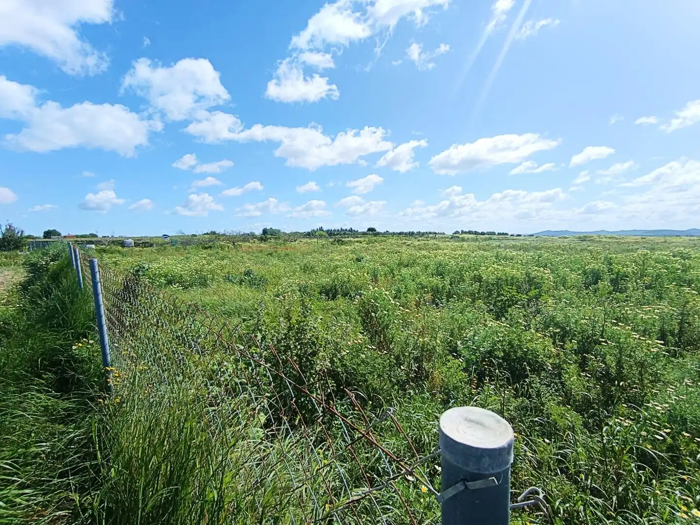 Terreno residenziale in vendita a Los Franceses – La Vega, imagen 7