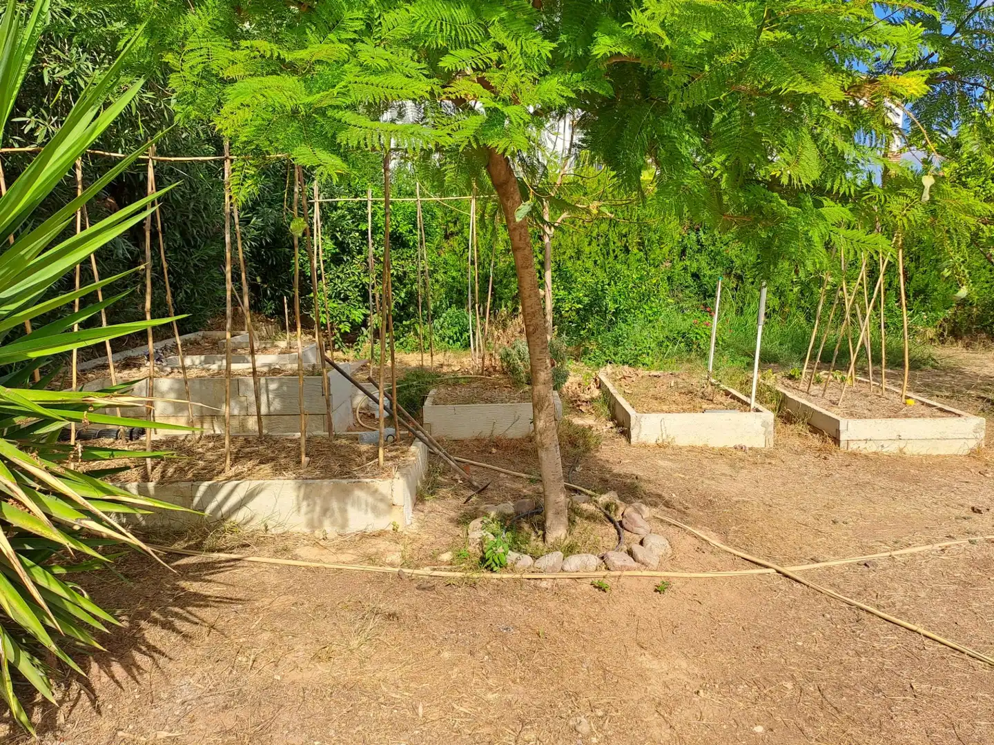 Jardí de Casa o xalet en venda en Cantillana amb Aire condicionat, Calefacció i Jardí privat