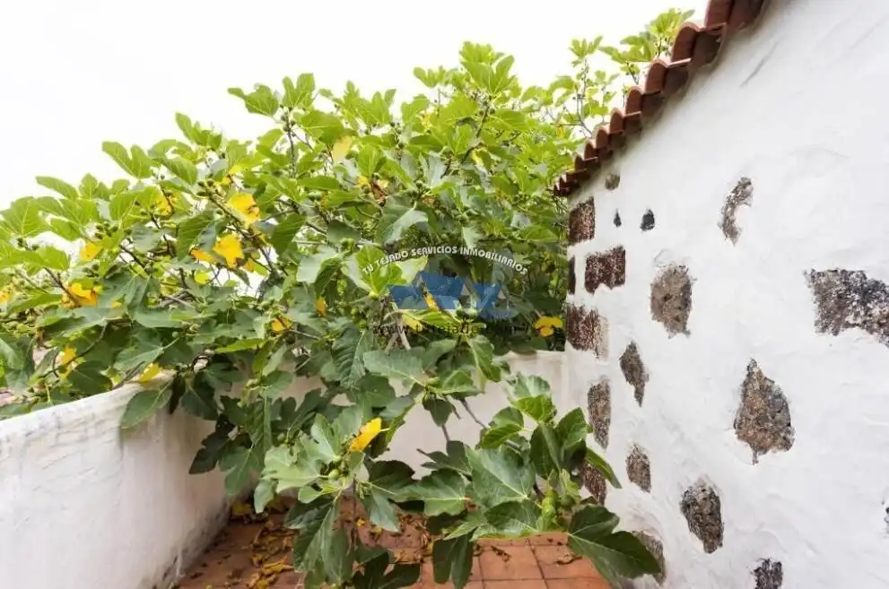 Jardí de Casa o xalet en venda en El Tanque amb Moblat