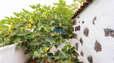 Foto 2 de Casa o xalet en venda a El Tanque, Santa Cruz de Tenerife