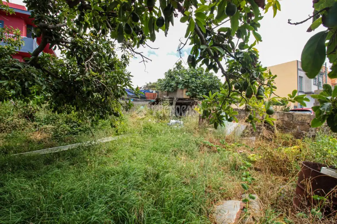 Terreno residencial en venta en El Sauzal, imagen 9