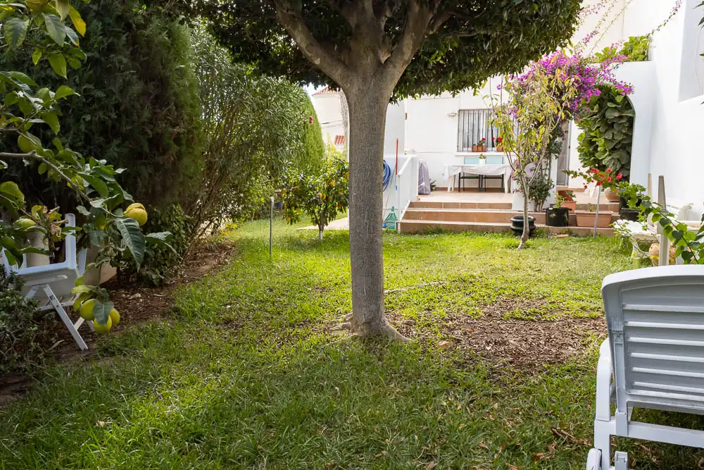 Houses for sale in Calle la Rumina, El Palmeral