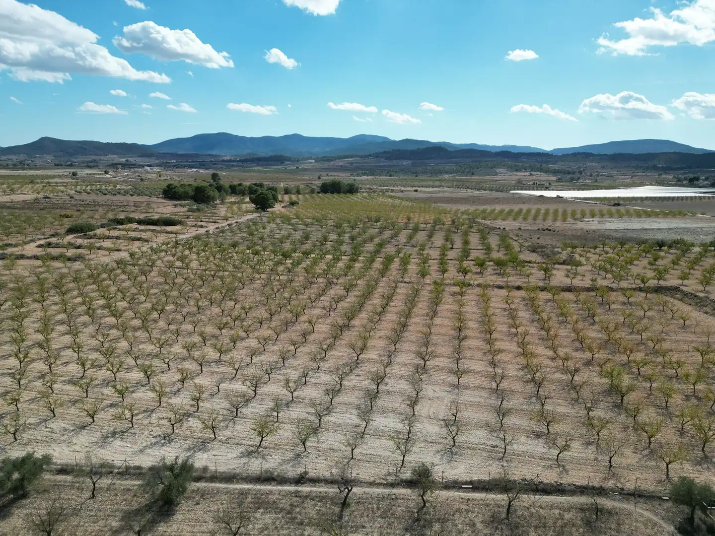 Wohnbaugrundstück zum Verkauf in El Pinós / Pinoso, imagen 13