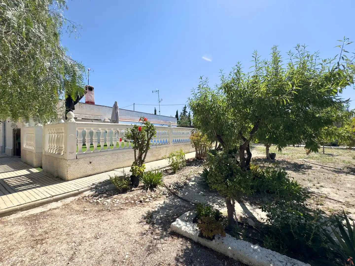 Jardín de Casa o chalet en venta en Aspe con Calefacción, Jardín privado y Terraza