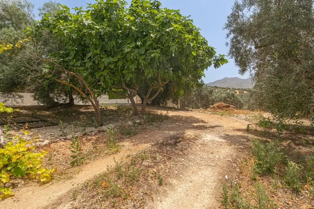 Casa rústica amb terrassa en venda a Villanueva del Trabuco, imagen 5