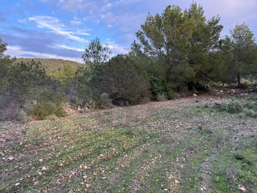 Residential zum Verkauf in Sant Josep de sa Talaia