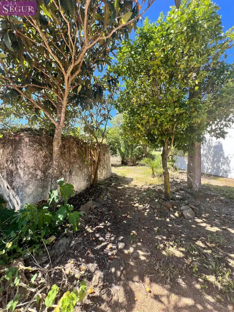Terreni e lotti in vendita a Vejer, imagen 18