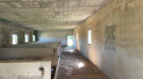 Foto 2 de Finca rústica en venta en Ariany, Illes Balears