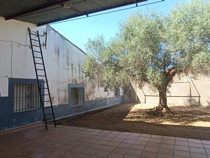 Jardí de Casa o xalet en venda en Torre de Santa María