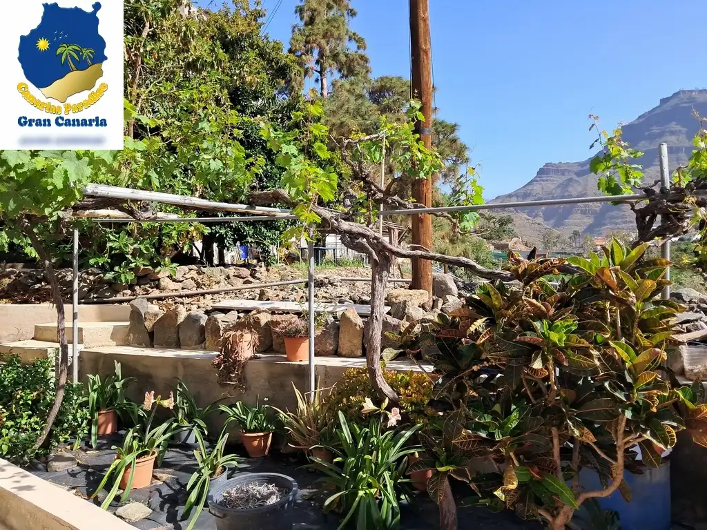 Garten von Wohnung zum Verkauf in Mogán mit Privatgarten und Terrasse