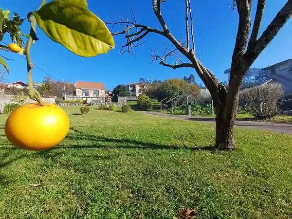 Terreni e lotti in vendita a Camino Petón, imagen 15