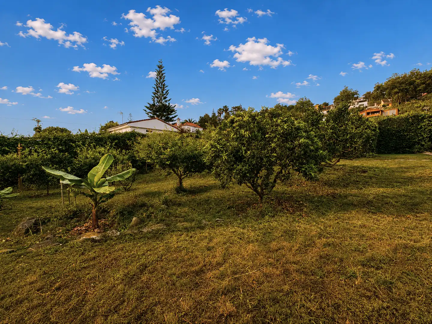 Finca rústica en venta en Pasaje de los Nardos, 8, Los Castillos