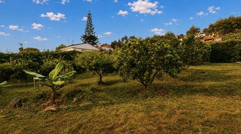 Foto 5 de Finca rústica en venta en Pasaje de Los Nardos, 8, Los Castillos, Arucas