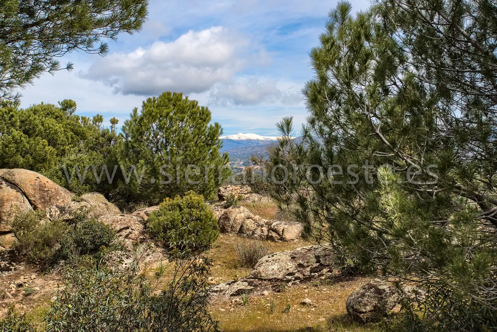 Casa o chalet en venta en Puerto de Galapagar - Las Cuestas