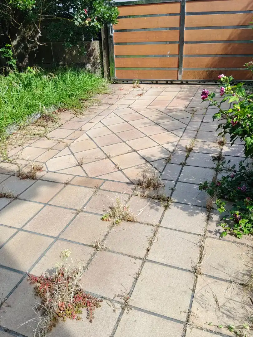 Terraza de Casa o chalet en venta en Poio con Calefacción, Jardín privado y Terraza