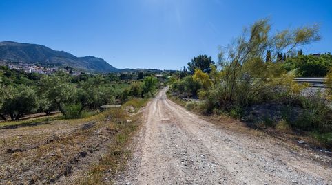 Finca de olivos en excelente ubicación  Alfacar, immagine 2