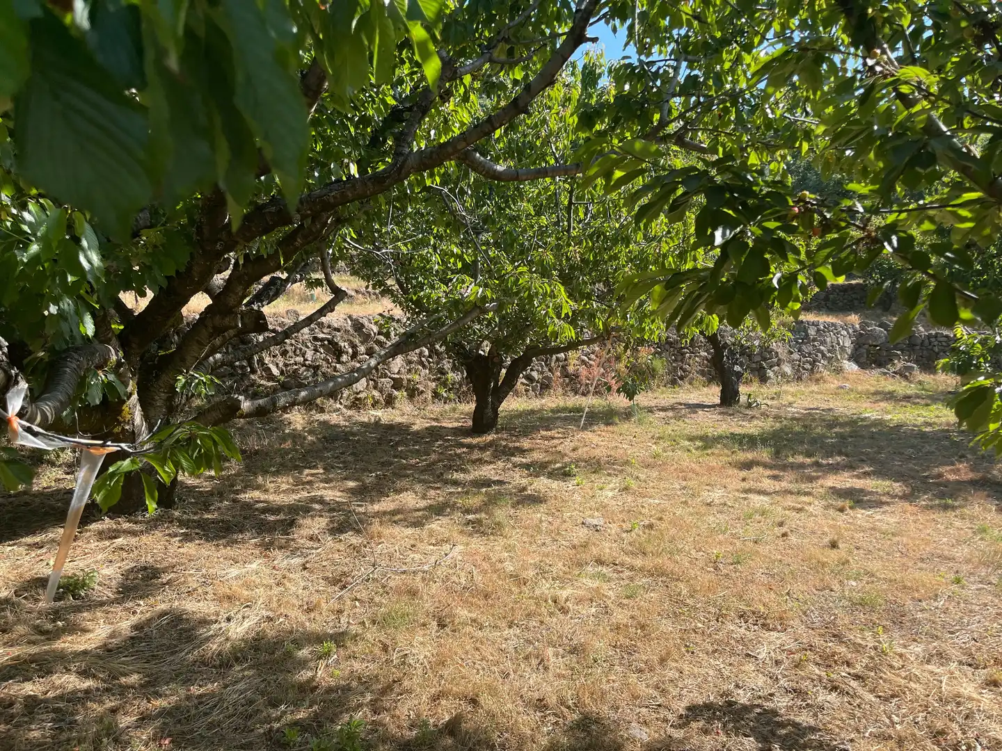 Terreni e lotti in vendita a Garganta la Olla