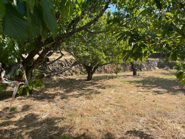 Terreno rustico in vendita a Garganta la Olla