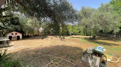 Foto 4 de Casa o chalet en venta en Calle Cruz del Sur, 29, Palomares del Río, Sevilla