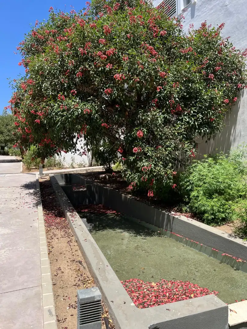 Schwimmbecken von Wohnung zum Verkauf in Mijas mit Klimaanlage, Heizung und Privatgarten