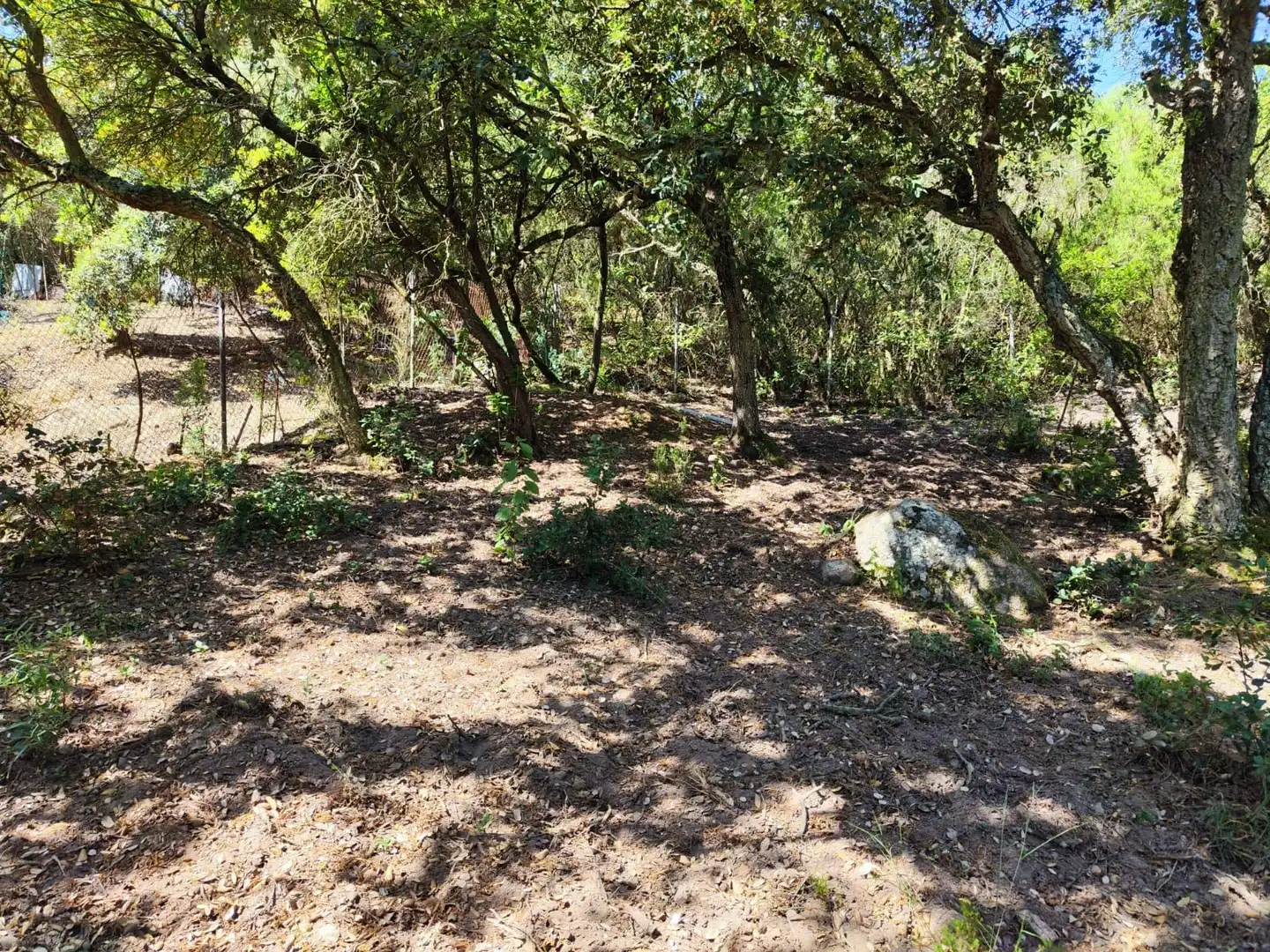 Lands and plots for sale in Llagostera, imagen 12