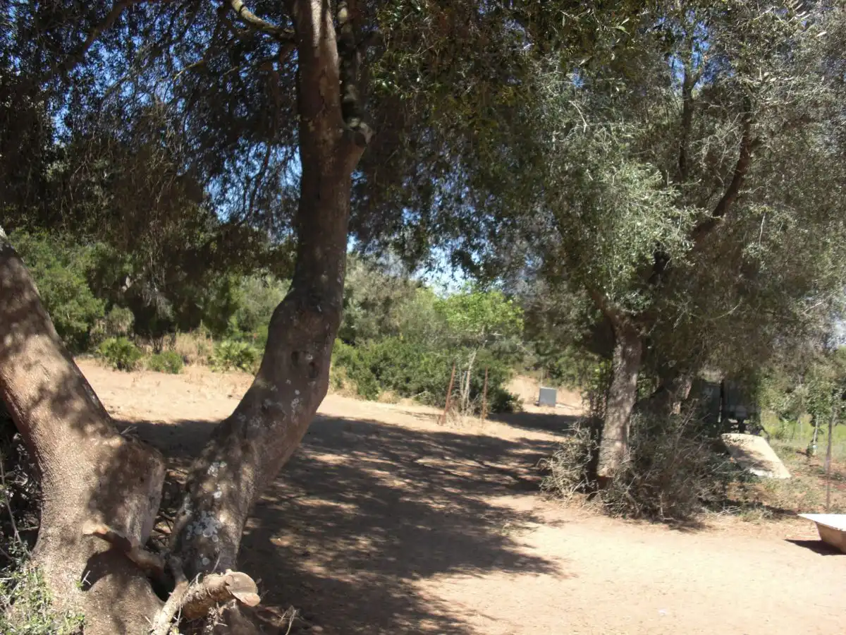 Casa rústica en venda a Vejer