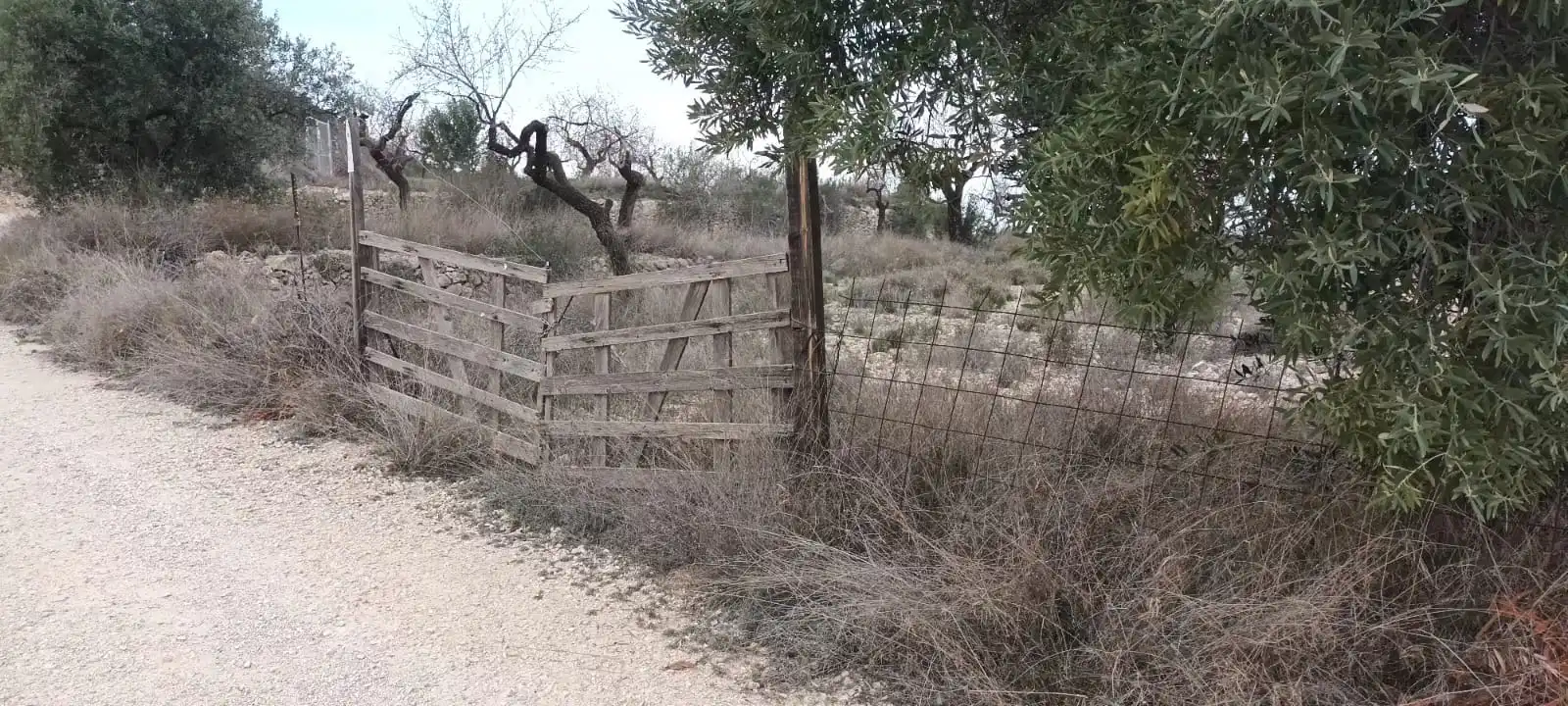 Terreno rustico in vendita a Calle Hondon de las Nieves, imagen 10