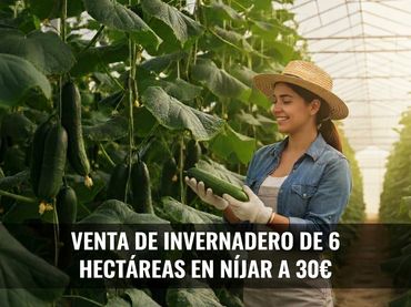 Terreny rústic en venda a Callejón de la Semilla 3