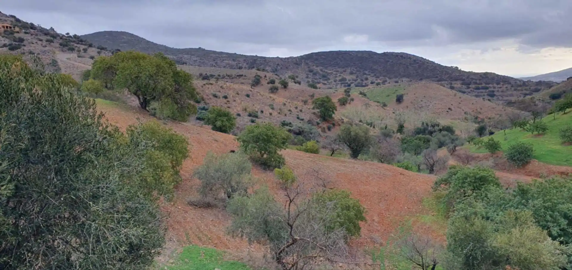 Terreni e lotti in vendita a Cártama pueblo, imagen 26