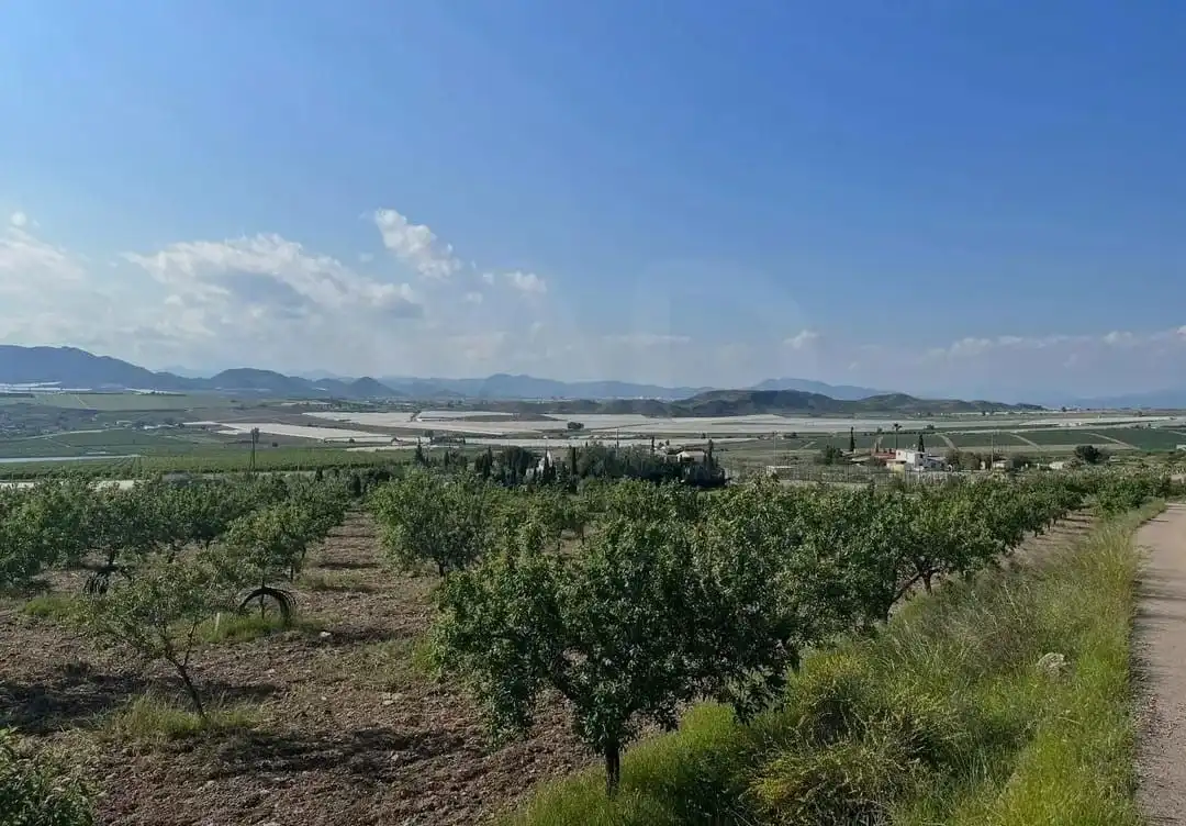 Terreni e lotti in vendita a Pedanías Sur, imagen 13