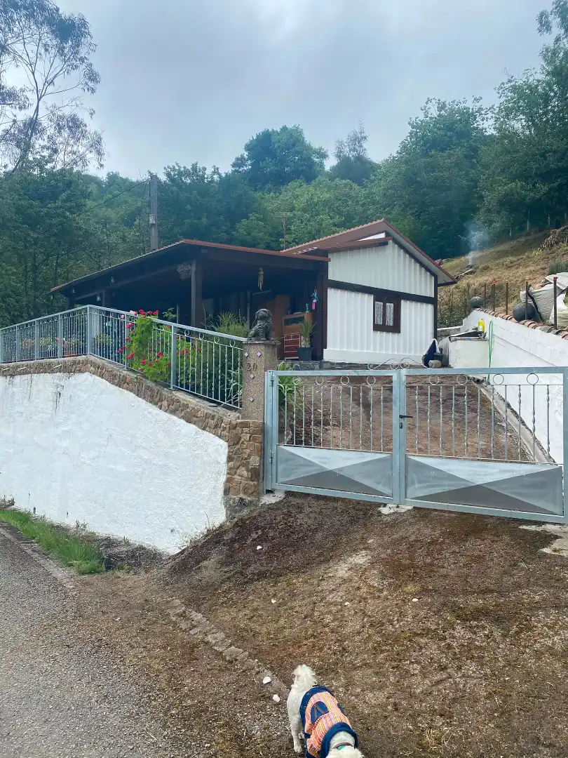 Vista exterior de Finca rústica en venta en San Martín del Rey Aurelio con Jardín privado, Terraza y Trastero
