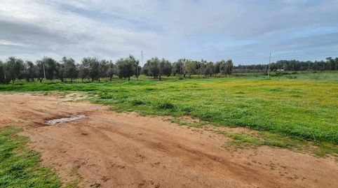 Solar en venta en Gibraleón., immagine 5