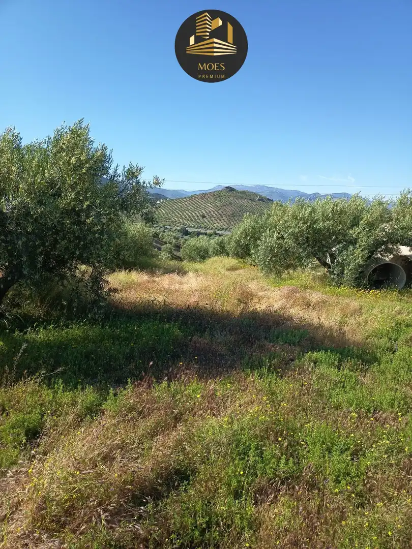 Country house for sale in Puente Tablas - Puente Nuevo - Cerro Molina